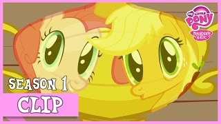 Applejacks Appreciation Day Applebuck Season  MLP FiM HD [upl. by Einon]