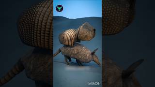 Armadillo Skin Power shorts Rshadow7C Shadow2C FactsMine [upl. by Dulcinea849]