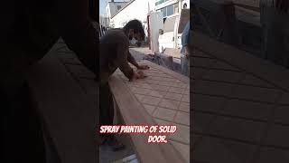 Door painting youtubeshorts ytshorts diy carpenter [upl. by Rentsch963]