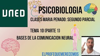 Psicobiologia UNED TEMA 10 parte 1 Maria Penado [upl. by Nine]