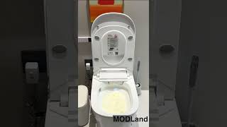 Modern Bidet Toilet you should have [upl. by Chapell]