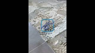 Floor Grinding with Hand Grinder viral trending viralvideo shorts grinding viralshort trends [upl. by Oeniri]