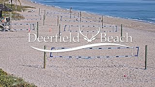 Live  Sport Camera  Deerfield Beach Florida USA [upl. by Nohsauq778]