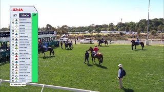 Knights Choice – Lexus Melbourne Cup – Lexus Melbourne Cup Day Race 7 [upl. by Arodal]