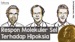 Hadiah Nobel FisiologiKedokteran 2019 Mekanisme Deteksi dan Respon Sel Terhadap Hipoksia [upl. by Sheffy]