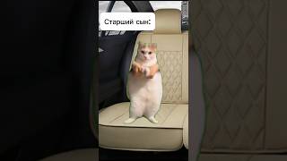 Как мама выбирала детям имена 😂 2024 мем recommended supercatssubscribe catscatcatmemes24 [upl. by Ayardna]