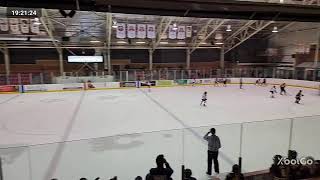 U11A Clarington Toros vs Whitby Wildcats White  November 6 2024 [upl. by Eliason]