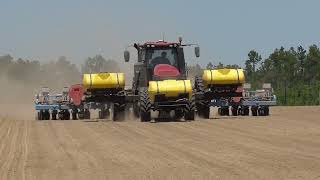 CASEIH MAGNUM305 PLANTING PEANUTS WITH A MONOSEM PLANTER BRIDGES FARMS 2022 PEANUT PLANTING [upl. by Johnathan]