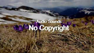 SurfampTurf Toby Tranter Vlog No Copyright Music [upl. by Niltyak]