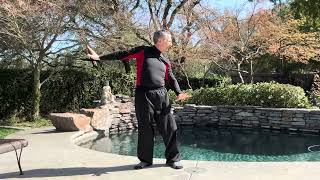 DRAGON TAIL QI GONG EXERCISE FOR BALANCE davidmitchell6972 [upl. by Jelena]