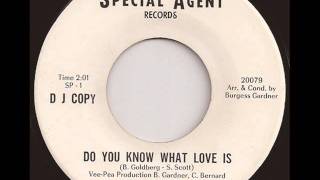 SYL JOHNSON  DO YOU KNOW WHAT LOVE IS SPECIAL AGENT [upl. by Leonanie]