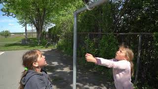 « Orange Crush » – Jeu de ballonpoire  Sur les traces dune famille acadienne de NouvelleAcadie [upl. by Rego407]