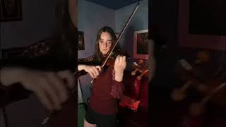 Rains of Castamere with Violin ⚔️🍂 [upl. by Emerej]