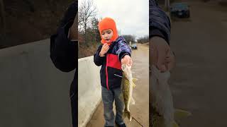 Nice 17 inch walleye Fishing [upl. by Nref]