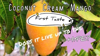 Tasting Coconut Cream Mango Does it Live Up to the Hype [upl. by Saber]