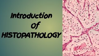 Introduction OF Histopathology Define Histopathology MLTLearningStation [upl. by Elehcor958]