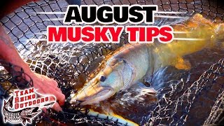 Musky Fishing Basics  August Musky Fishing Tips [upl. by Massarelli169]