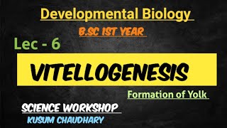 Vitellogenesis  Formation of Yolk  Developmental Biology 6  By Kusum Chaudhary [upl. by Armitage254]