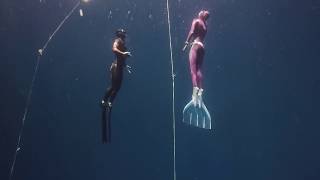 Aleksey Molchanov and Elena Molchanova freediving champions [upl. by Bovill283]