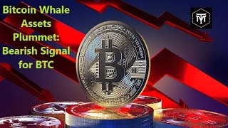 Bitcoin Whale Assets Plummet Bearish Signal for BTC [upl. by Attlee645]