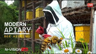 BEEKEEPING MODERN APIARY 2024 [upl. by Aelem]