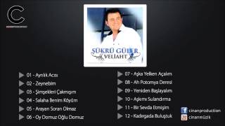 Şükrü Güler  Zeynebim Kemençe ✔️ [upl. by La Verne961]