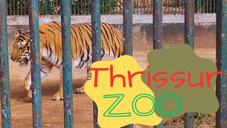 Thrissur Zoo or State Museum amp Zoo [upl. by Seigler]