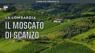 Il Moscato di Scanzo la quasi più piccola DOCG italiana  Tannico [upl. by Abramson412]