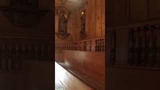 Inside One of the Oldest Lecture Halls in the Country In The Country At The University of Bologna [upl. by Namaj973]