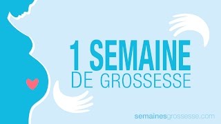 Les premières semaines de grossesse  La grossesse semaine par semaine [upl. by Ayikahs]