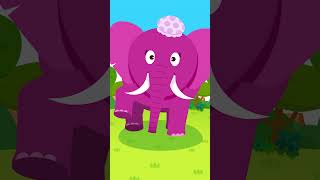 The Elephant Family  Big Animal Song  babysong popularkidssong tidikids [upl. by Tabbie]