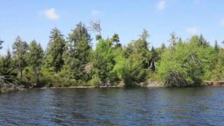 Hemlock Island Little Redstone LakeHaliburton Ontario [upl. by Jermain]