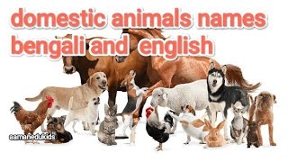 Domestic animals names bengoli and english kidslearningvideokidsvideo cartoon preprimarylearning [upl. by Yenitsed]