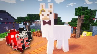 DAPPER LLAMAS amp FAIRY LIGHTS  ONE LIFE MINECRAFT SMP EP7 [upl. by Entroc]