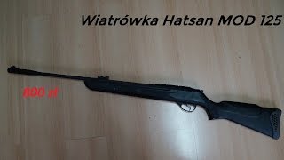 Wiatrówka Hatsan 125 za 800 zł [upl. by Vareck104]