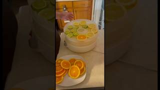 dehydrating Lemons🍋Limes🍋‍🟩and Oranges🍊for cleaning supplies and hot drinks over winter [upl. by Possing292]