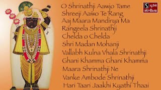 Shrinathji Satsang  11 Beautiful Songs  Hari Taari Zaakhi [upl. by Mauralia]