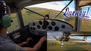 Tailwheel landing practice in the Luscombe [upl. by Euqor782]