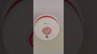 Is Your Home Smoke Alarm REALLY Protecting You [upl. by Esiahc203]