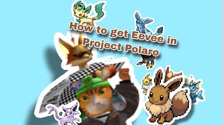 How to get Eevee in roblox Project Polaro for free [upl. by Sinnylg]