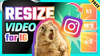 How to Resize Videos for Instagram FREE amp No Watermark [upl. by Oona]