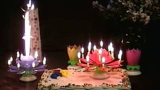 Lotus Flower Musical Birthday Candles [upl. by Matilda462]