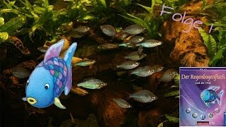 Helft den Freunden  Regenbogenfisch und der Wal Folge 1 Deutsch HD [upl. by Colt]