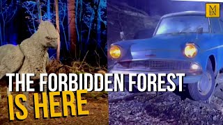 Calling all Harry Potter fans the Forbidden Forest is here [upl. by Groveman51]