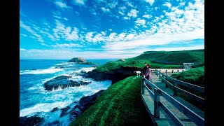 Visiting the Nobbies Boardwalk on Phillip Island [upl. by Eseilana]