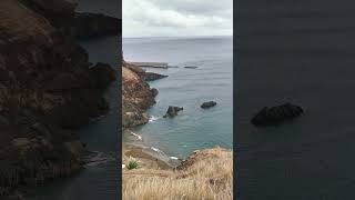 Prainha Beach Madeira Island [upl. by Francyne138]