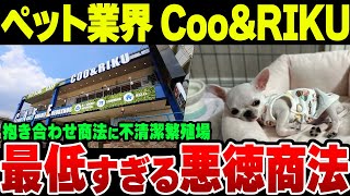 【CooampRIKU】ビッグモーターより悪質、ペットショップクーアンドリクが見せたペット業界の闇【ゆっくり解説】 [upl. by Ebocaj]