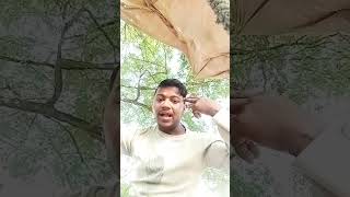 Goli maar dem kapaar mein bhojpuri [upl. by Tezile218]