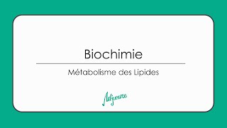 Tutorat biochimie  Métabolisme des lipides [upl. by Airahcaz]