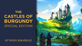 The Castles of Burgundy Special Edition — Играем вживую [upl. by Kolb563]